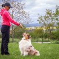 犬の吠え癖を直す4つ…