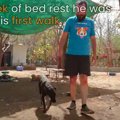 足に怪我をした犬。…