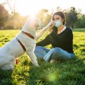 犬と飼い主、どちら…