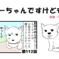 ちーちゃんですけど…