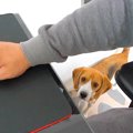 2階で仕事をしようと…