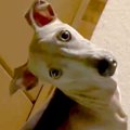 いつも廊下でピッタ…