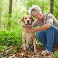 犬の免疫力が下がる…