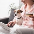 犬を飼うのに『絶対…