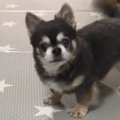 早く出さんかい！ご…