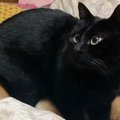 寝室に行くと、なぜ…