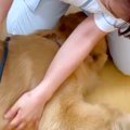 動物病院が好きすぎ…