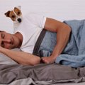 『犬は人間の糖尿病…