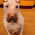 もう諦めた！？早食…