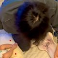 仕事から帰ってきた…