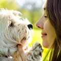 犬は飼い主の笑顔や…