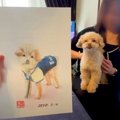 犬が『1年ぶり』にお…