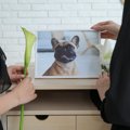 愛犬の葬式、具体的…