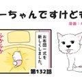 ちーちゃんですけど…