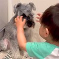 寝起きの小さな男の…