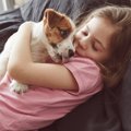 犬は飼い主と同じ部…