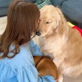 甘えん坊な大型犬に…