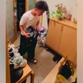 ずっと『犬が飼いた…