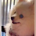 いつも一緒にいるお…