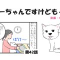 ちーちゃんですけど…