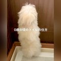 『誰が教えたのｗｗ…