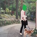 犬と遊べるテーマパ…