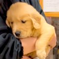 『こんなに小さかっ…