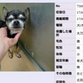 保健所で殺処分が決…