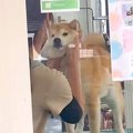 トリミングサロンへ…