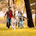 犬を飼うメリット・…