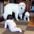 大喧嘩をしていた超…