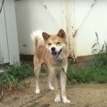 「辛いお菓子を食べ…