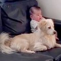 赤ちゃんと犬の日常…