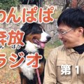 犬のおべんきょう♪わ…