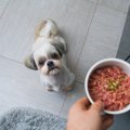 犬のための生肉食パ…
