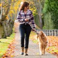 犬の散歩に潜んでい…