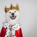 貴族・王族と暮らし…