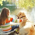 愛犬との関係は子ど…