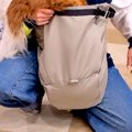 『抱っこ紐』を犬に…