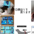 犬のマナーベルトの…