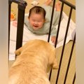 0歳の赤ちゃんがいる…