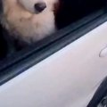 『なんやねんこいつ…