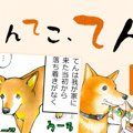 てんてこ、てん。【…