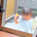 10日間、女の子と犬…