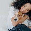 『犬の飼い主に向い…