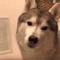 おこぼれがもらえな…