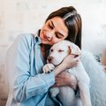 犬が『飼い主に飽き…