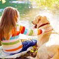 犬を飼う前に考えて…