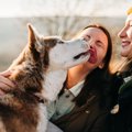 散歩中に愛犬が他人…