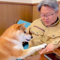 犬とお父さんを撮影…